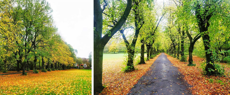Colours of autumn Colours of autumn