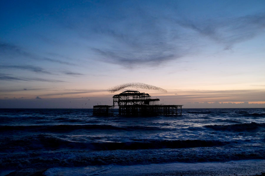 Brighton West Pier Brighton West Pier