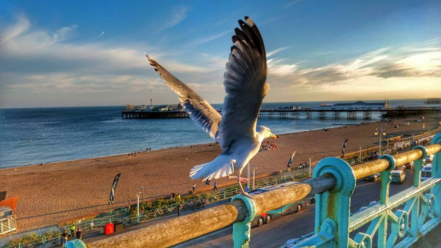 Brighton Beach Brighton Beach