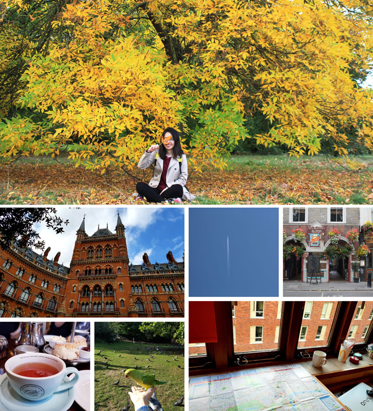 Colours of the UK Colours of the UK